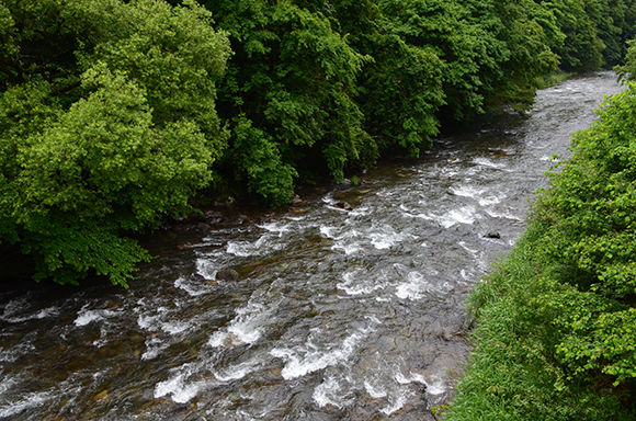e0164563_95297.jpg