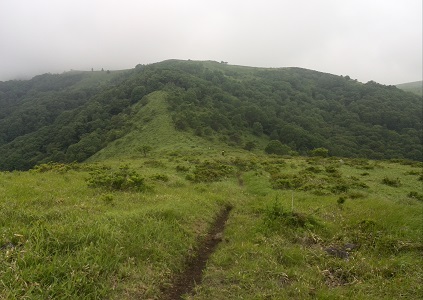 c0084368_1143578.jpg