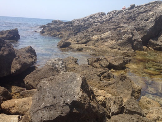 夏の元気の素はイタリアの海_a0136671_8313378.jpg