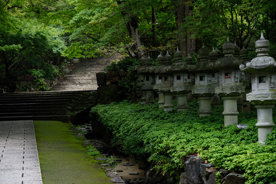 開運の寺　勝尾寺へ　【行ってみた編】_a0301676_16534464.jpg