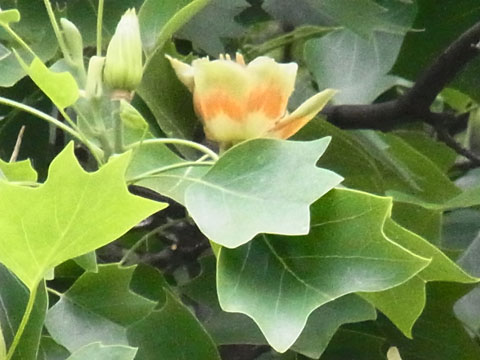 f0083977_6283491.jpg