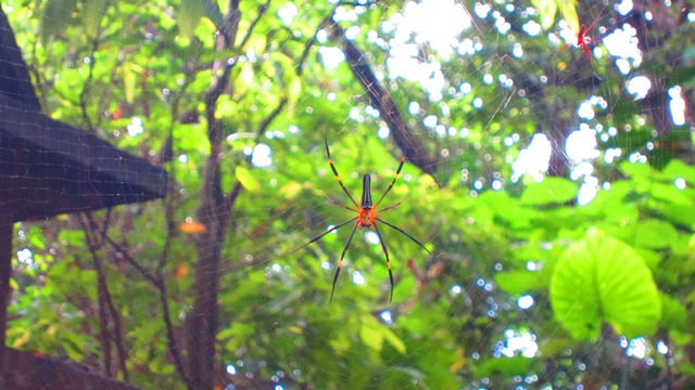 a0242984_1730650.jpg