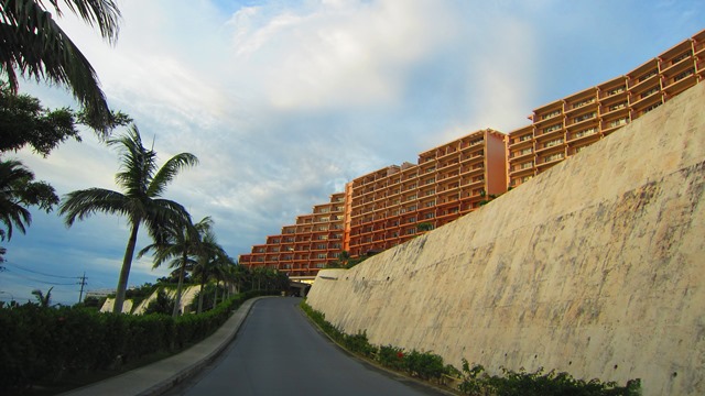 a0242984_17464377.jpg