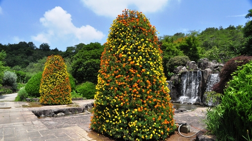 e0340485_8594121.jpg