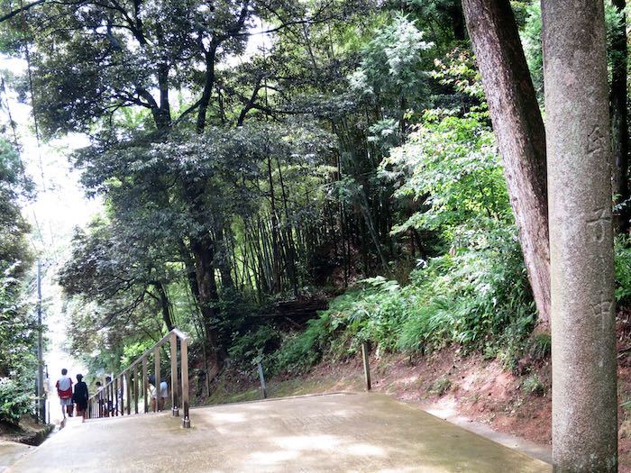 201506梅雨の一宮巡り　その3　なぎさドライブウェイと北陸の一の宮_b0339488_21494776.jpg