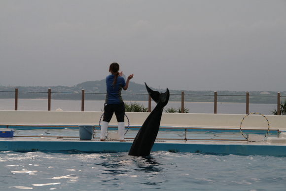 美ら海水族館～☆_f0158596_17354933.jpg