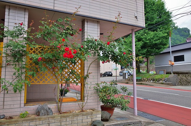 七夕の街歩き_c0336902_1485726.jpg