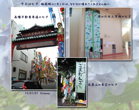 高尾山の精進料理_c0051105_22441478.jpg