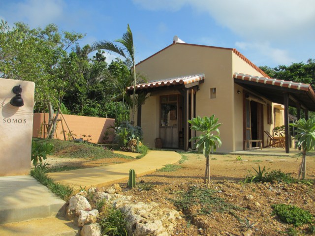 d0224712_822954.jpg
