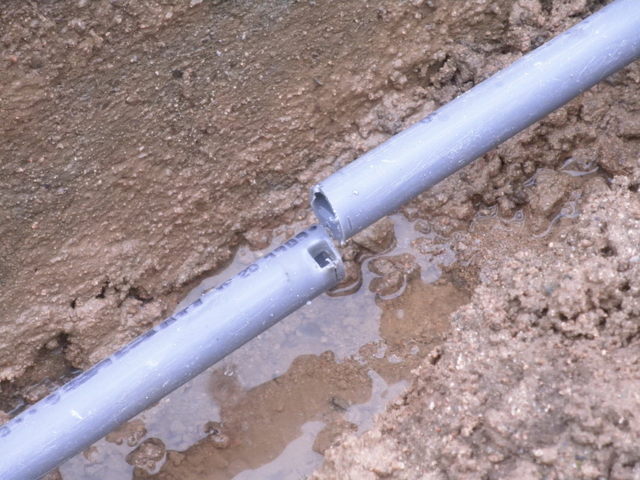 a0189513_8423019.jpg