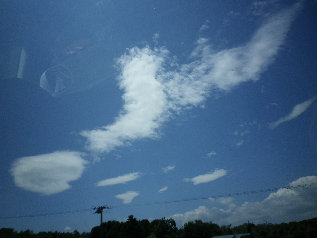 e0052716_1075957.jpg