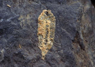 d0045626_22191524.jpg