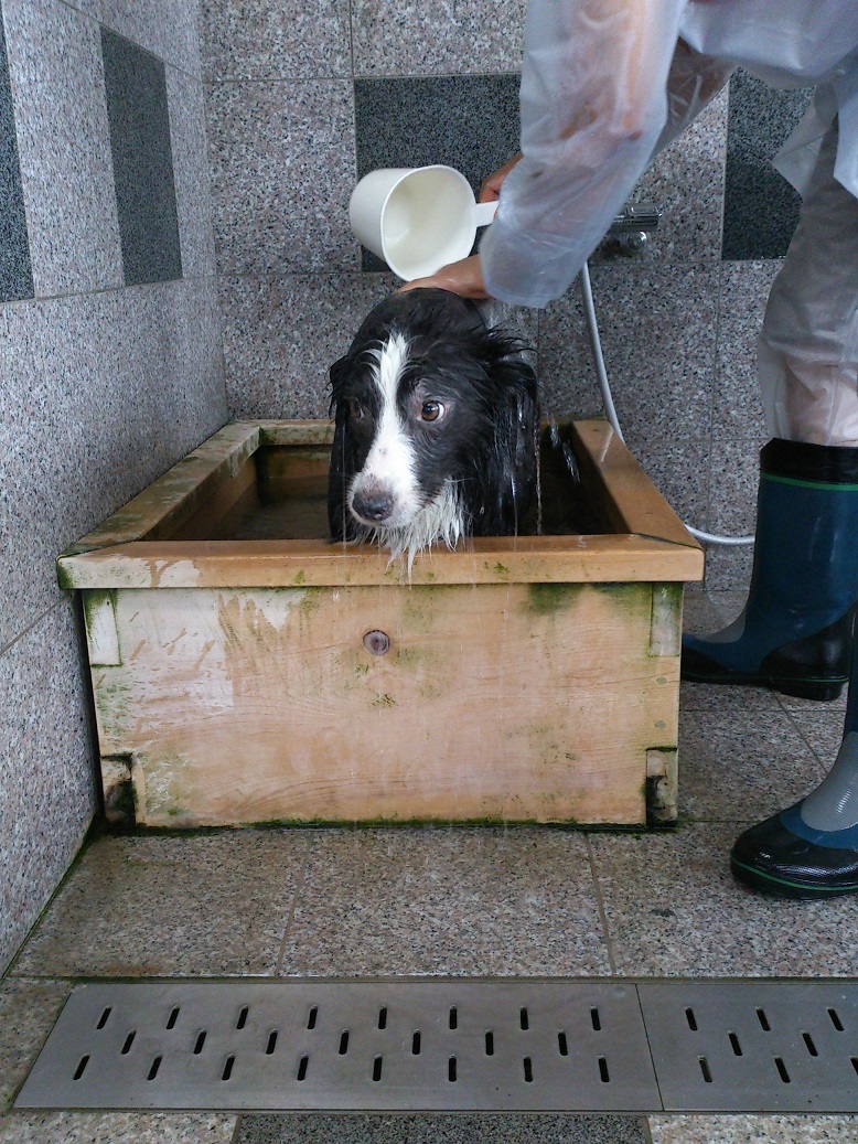 梅雨の合間に・・・_b0268454_2149449.jpg