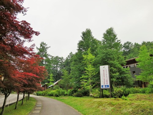 f0236260_14443783.jpg