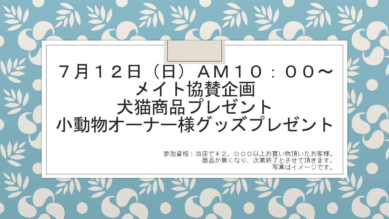 150707 花金セール&イベント告知_e0181866_11131860.jpg