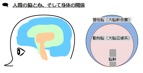伊藤慶二先生 著「病気をしない生き方」の注文方法_d0169072_13245299.jpg