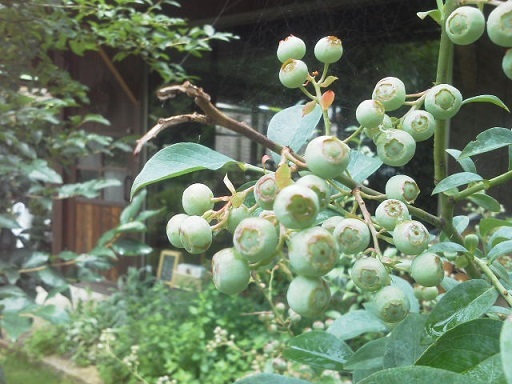 a0232573_22303015.jpg