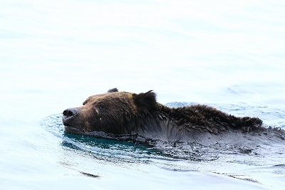 e0213873_1104294.jpg