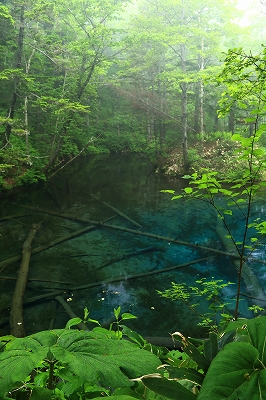 e0213873_1113517.jpg