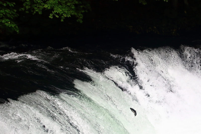 e0213873_11212354.jpg