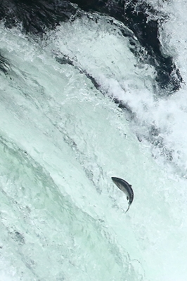 e0213873_11213227.jpg