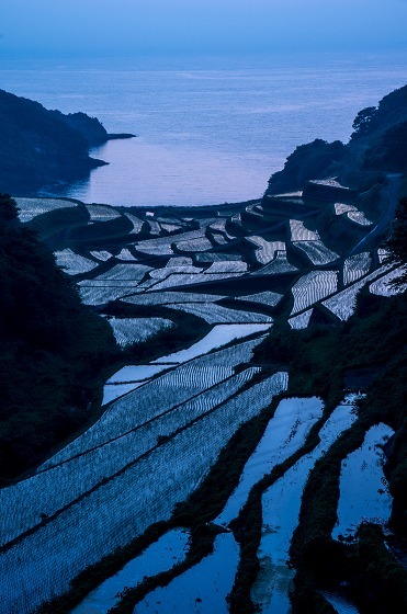e0176993_07085435.jpg
