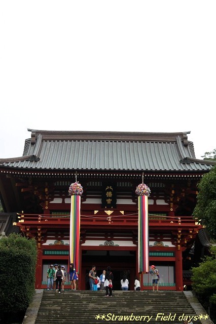 鶴岡八幡宮　七夕祭り　_c0087094_16560249.jpg