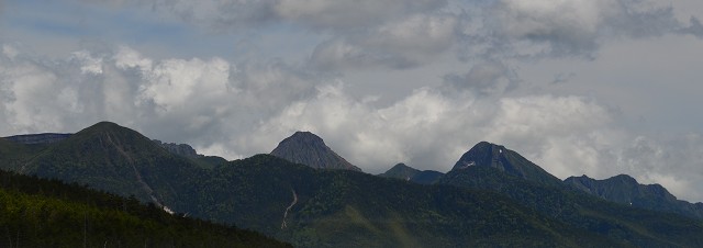 北八ヶ岳 坪庭、高山植物群_c0124100_23161830.jpg