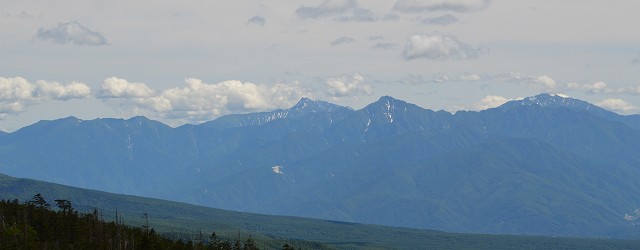 北八ヶ岳 坪庭、高山植物群_c0124100_23163156.jpg