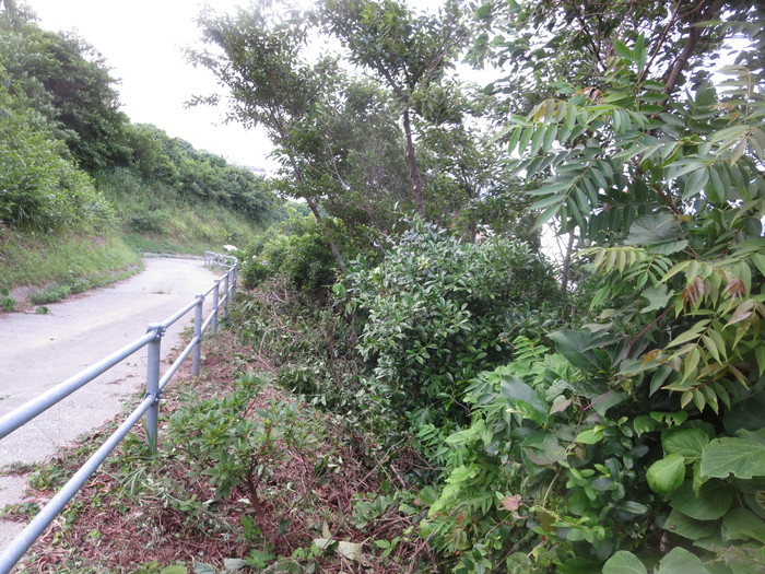 e0271803_016264.jpg