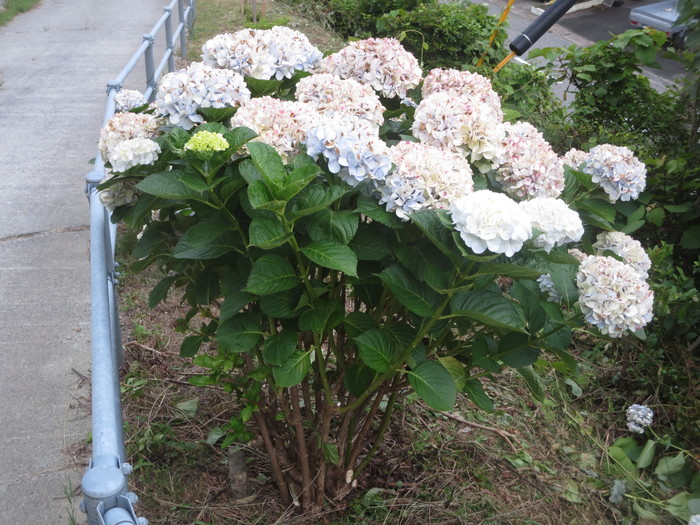 e0271803_0292893.jpg