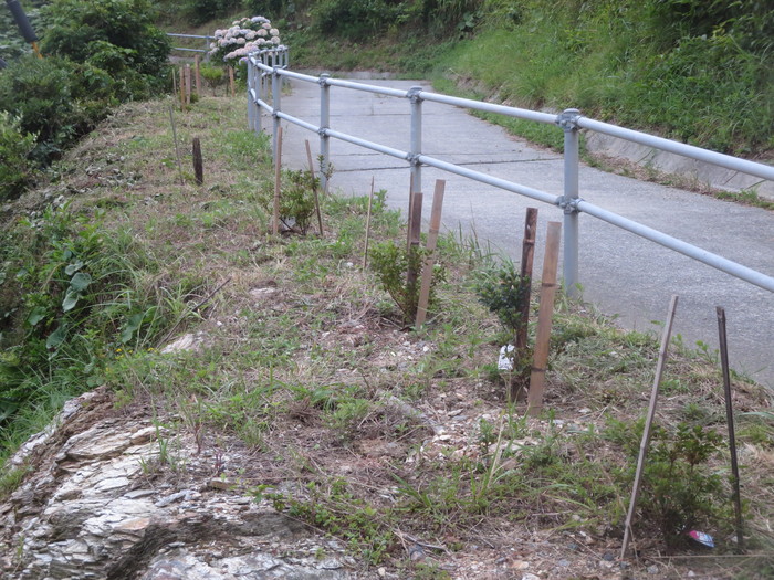 e0271803_074450.jpg