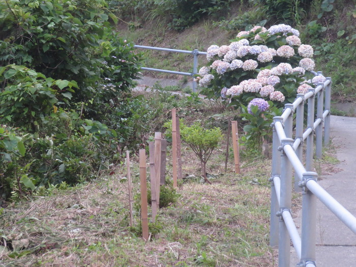 e0271803_095968.jpg