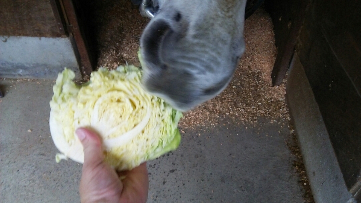 c0212604_20235797.jpg