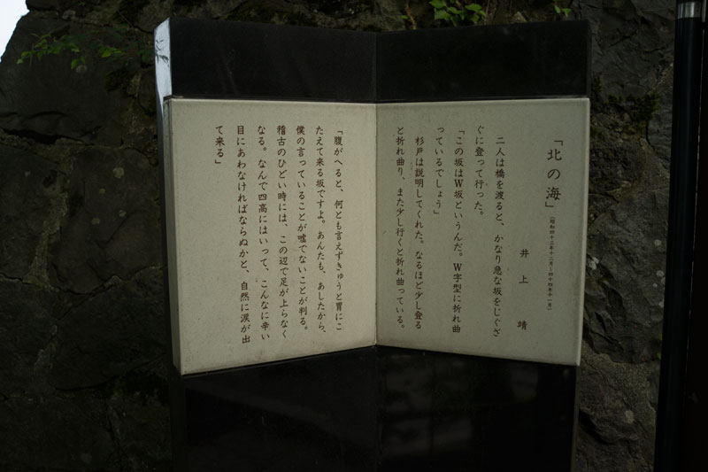 a0278914_5281468.jpg