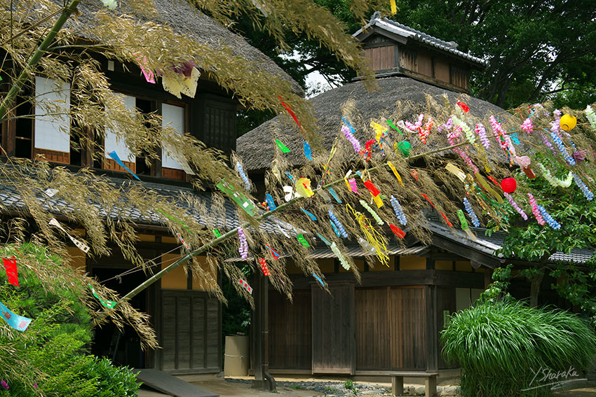f0344614_005136.jpg