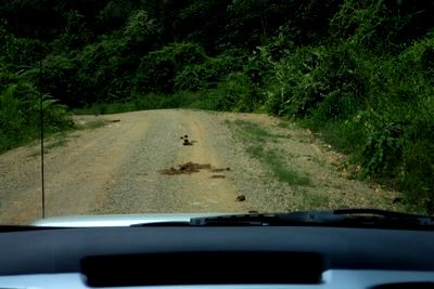 （４０）　起死回生の遭遇に・・・||||||||/(≧□≦;)＼|||||||_c0369423_14475595.jpg