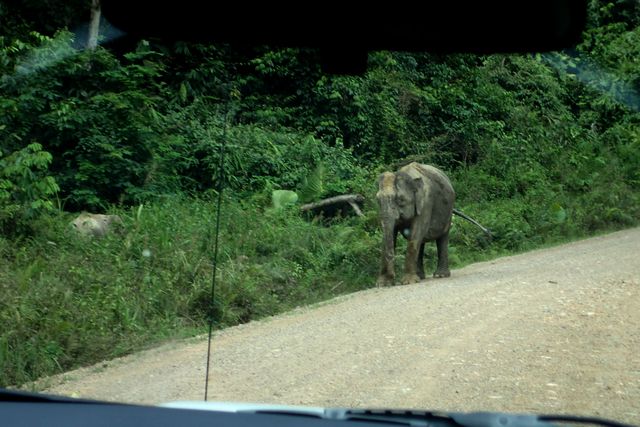 （４０）　起死回生の遭遇に・・・||||||||/(≧□≦;)＼|||||||_c0369423_14511335.jpg