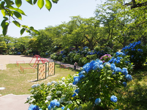 b0147224_0192862.jpg