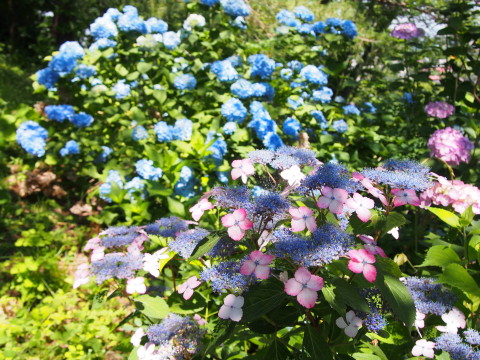 b0147224_0234138.jpg