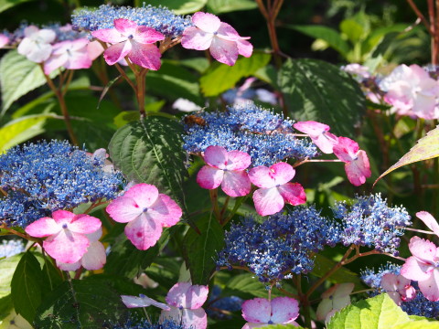 b0147224_0241447.jpg