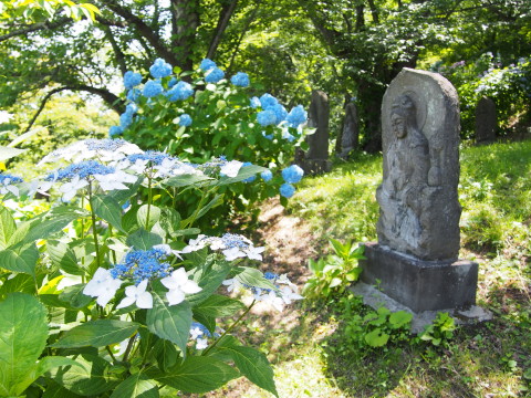 b0147224_0281667.jpg