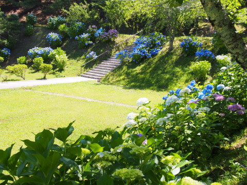 b0147224_0305520.jpg