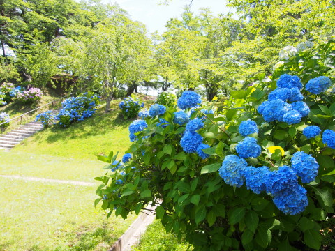 b0147224_0313943.jpg