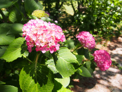 b0147224_0531410.jpg