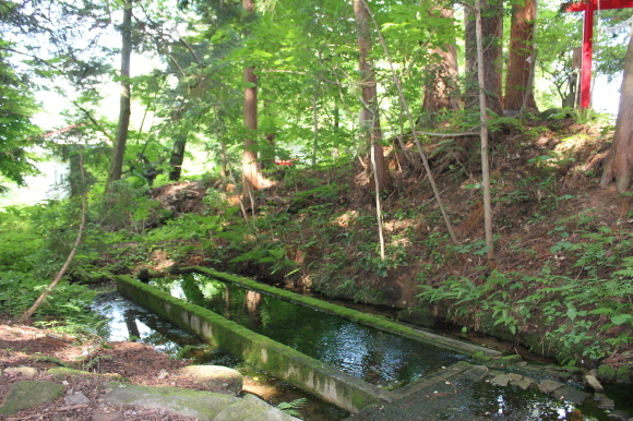 c0332238_13535664.jpg