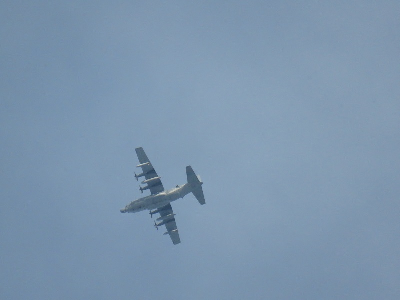 b0288942_8483231.jpg