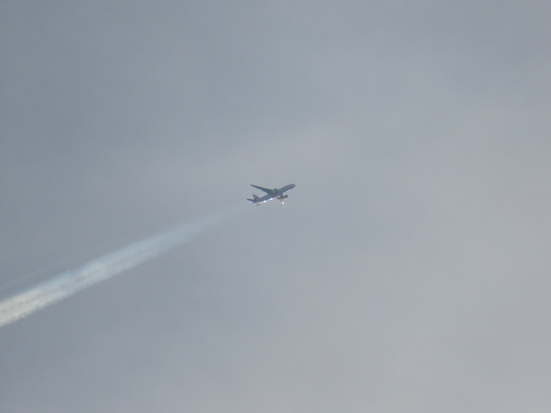 b0288942_8505952.jpg