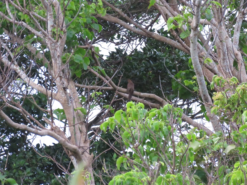 b0288942_8522890.jpg