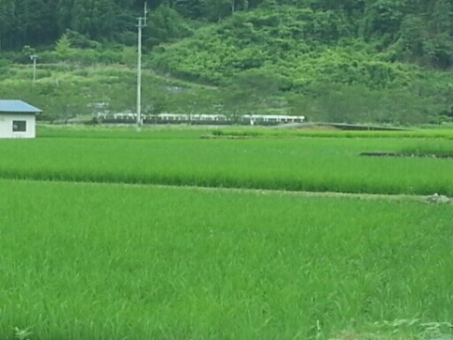 c0330749_12551116.jpg